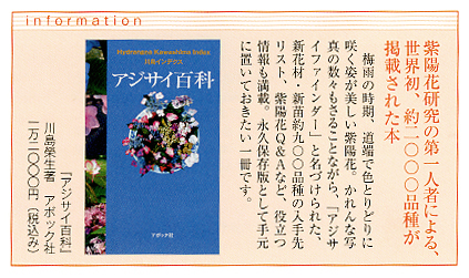 記事画像