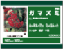 RN-15（絵入り）
