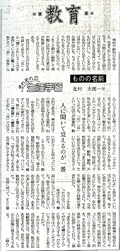 記事画像