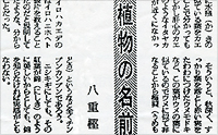 記事画像