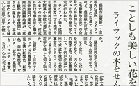 記事画像