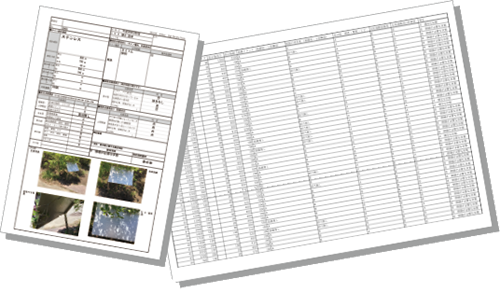 報告書イメージ