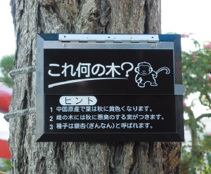 クイズラベル