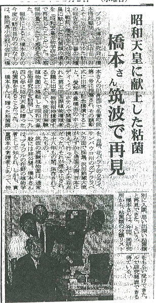 記事画像